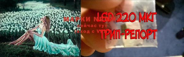 СК Алексин