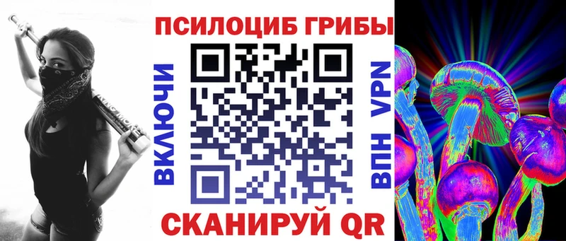 где можно купить наркотик  Тогучин  Галлюциногенные грибы Cubensis 