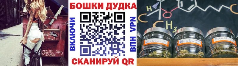 купить наркотики сайты  Тогучин  Шишки марихуана план 
